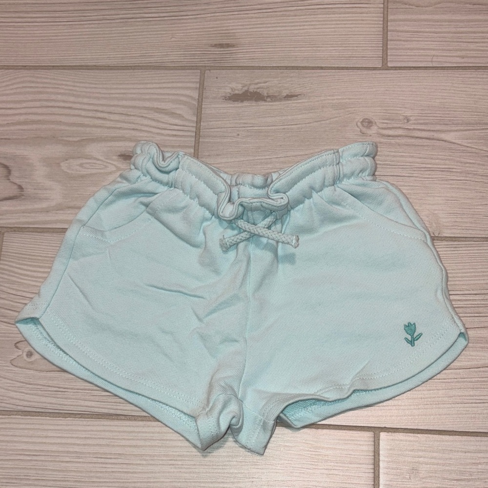 Zara Light Blue Toddler Girls Shorts